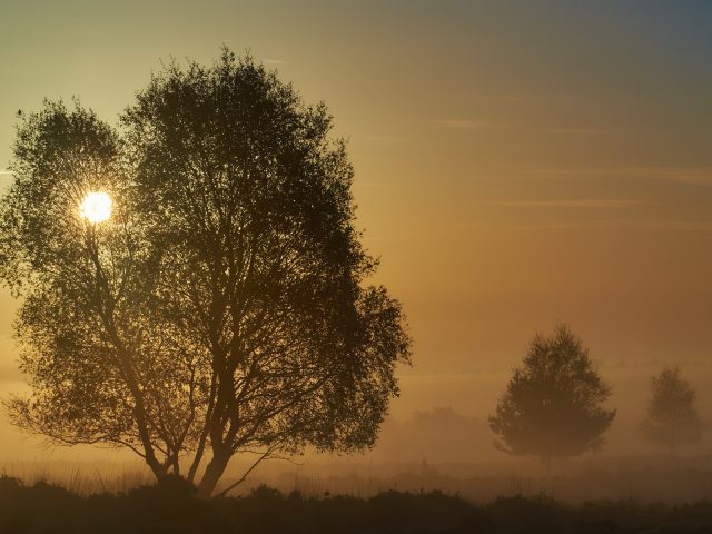 erikspaan album natuur